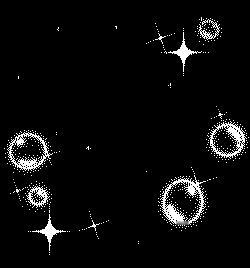 欧气爆棚，我在会员福利赏抽中了【传说】,点击抽泡泡星： ​​​