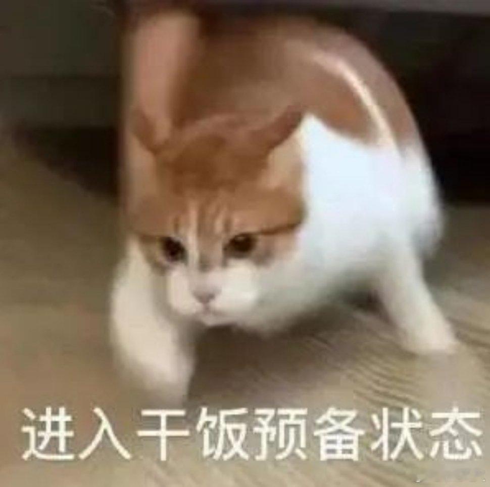 准备干饭！家人萌中午吃啥？ ​​​
