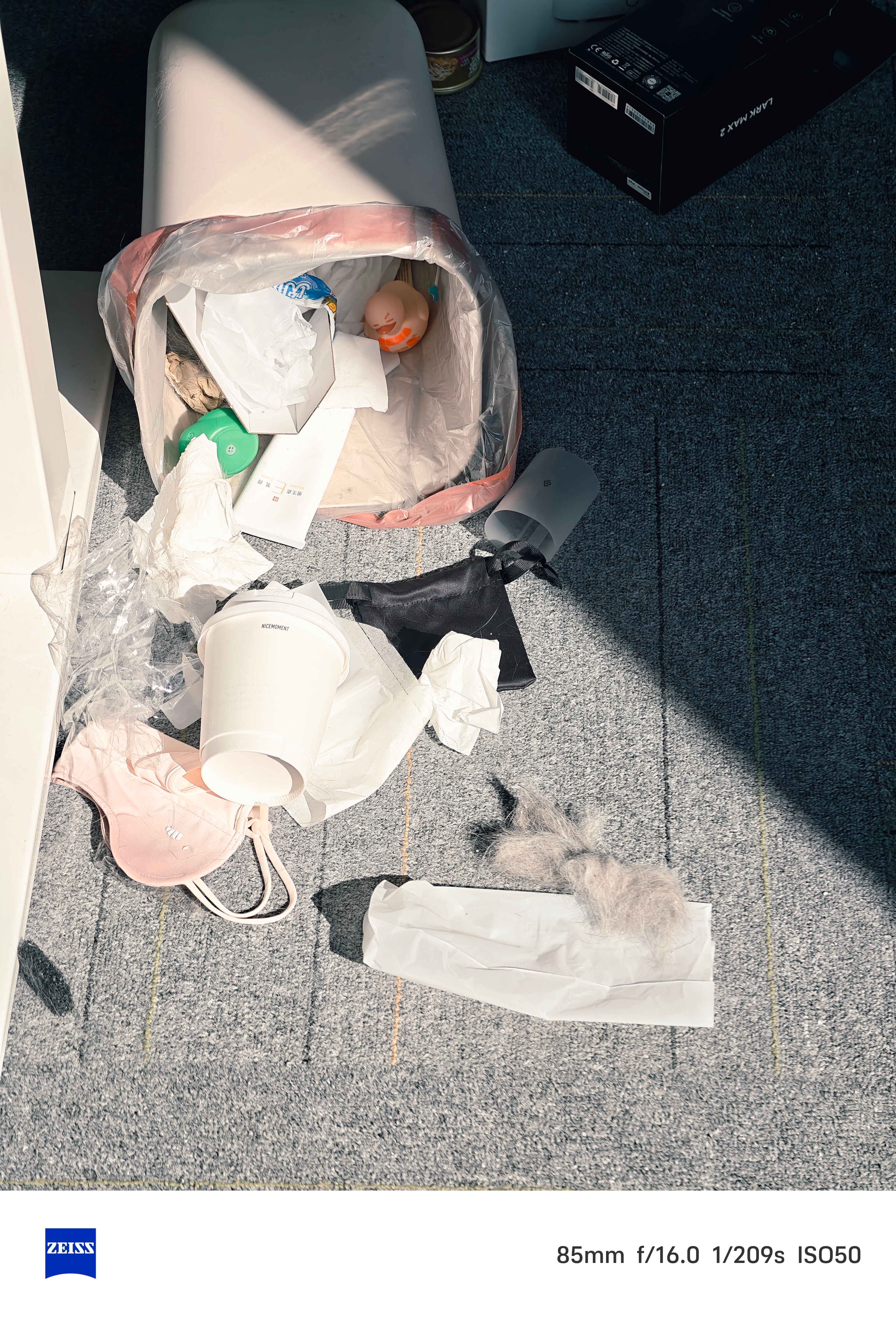 完犊子了昨晚忘了给猫笼关门