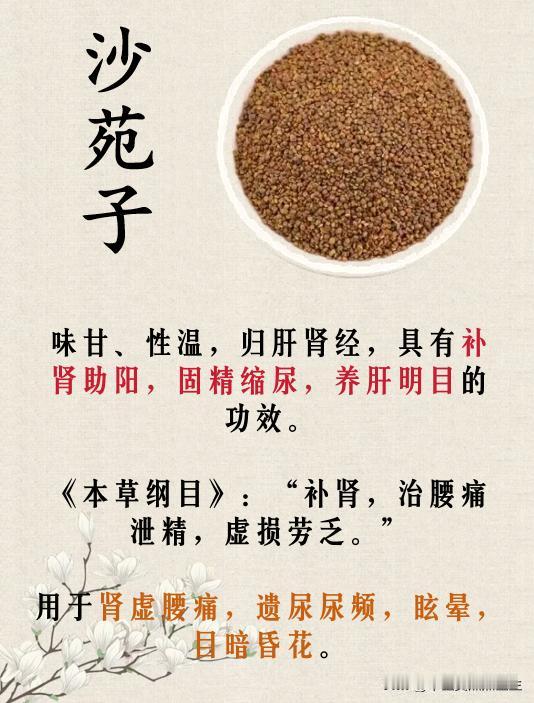 四味中药泡水喝，男性朋友要记牢！


#中医##中医健康#