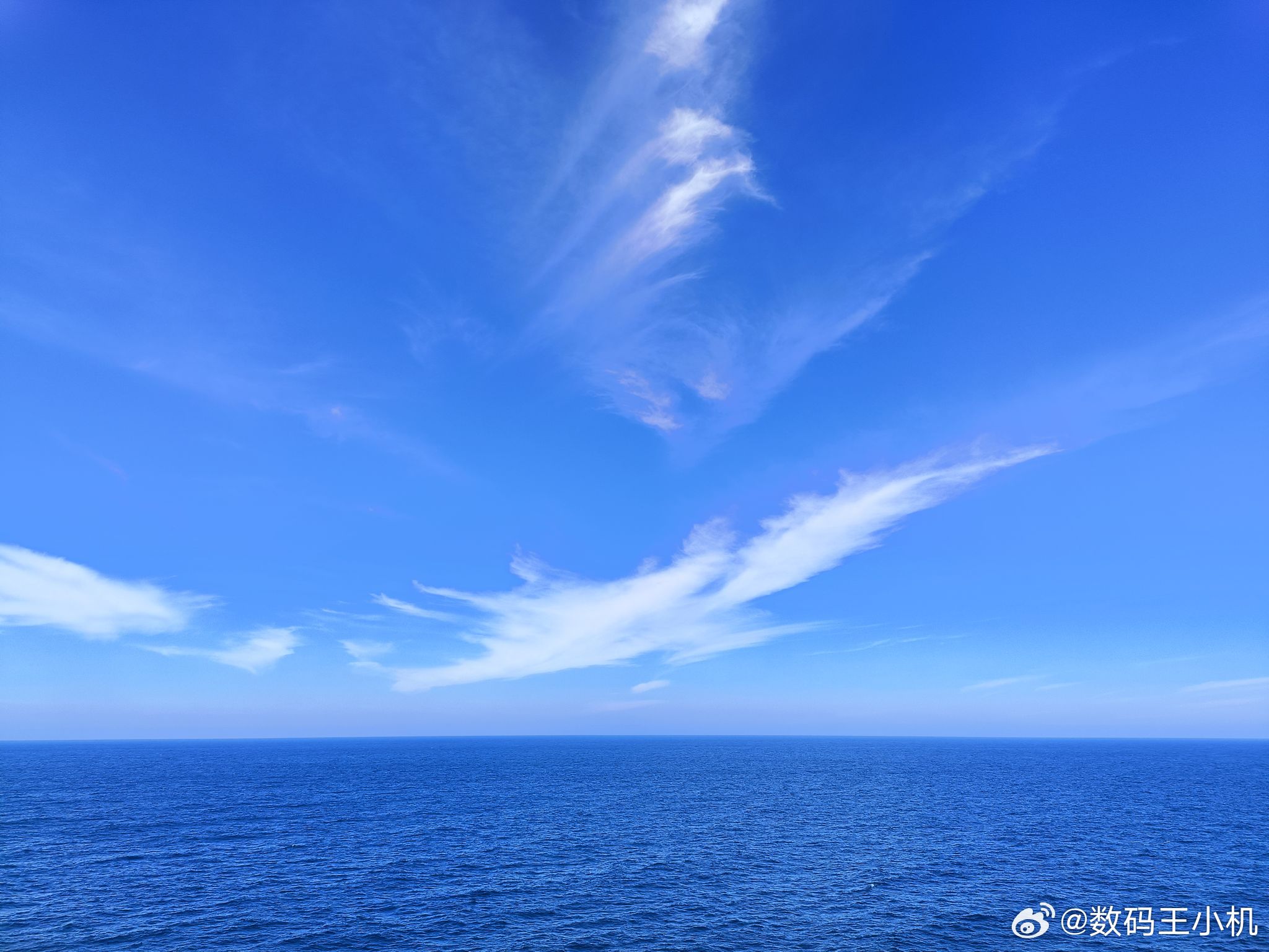 男子公海上刺死同事我的天，是没想开还是咋了，为一点小事故意杀人了这是[允悲] ​