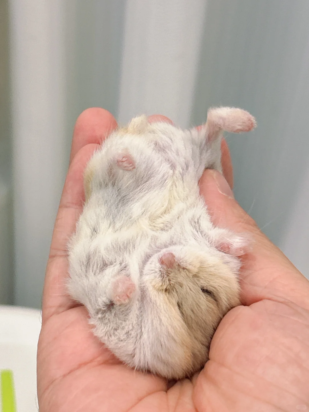 孩子没睡醒