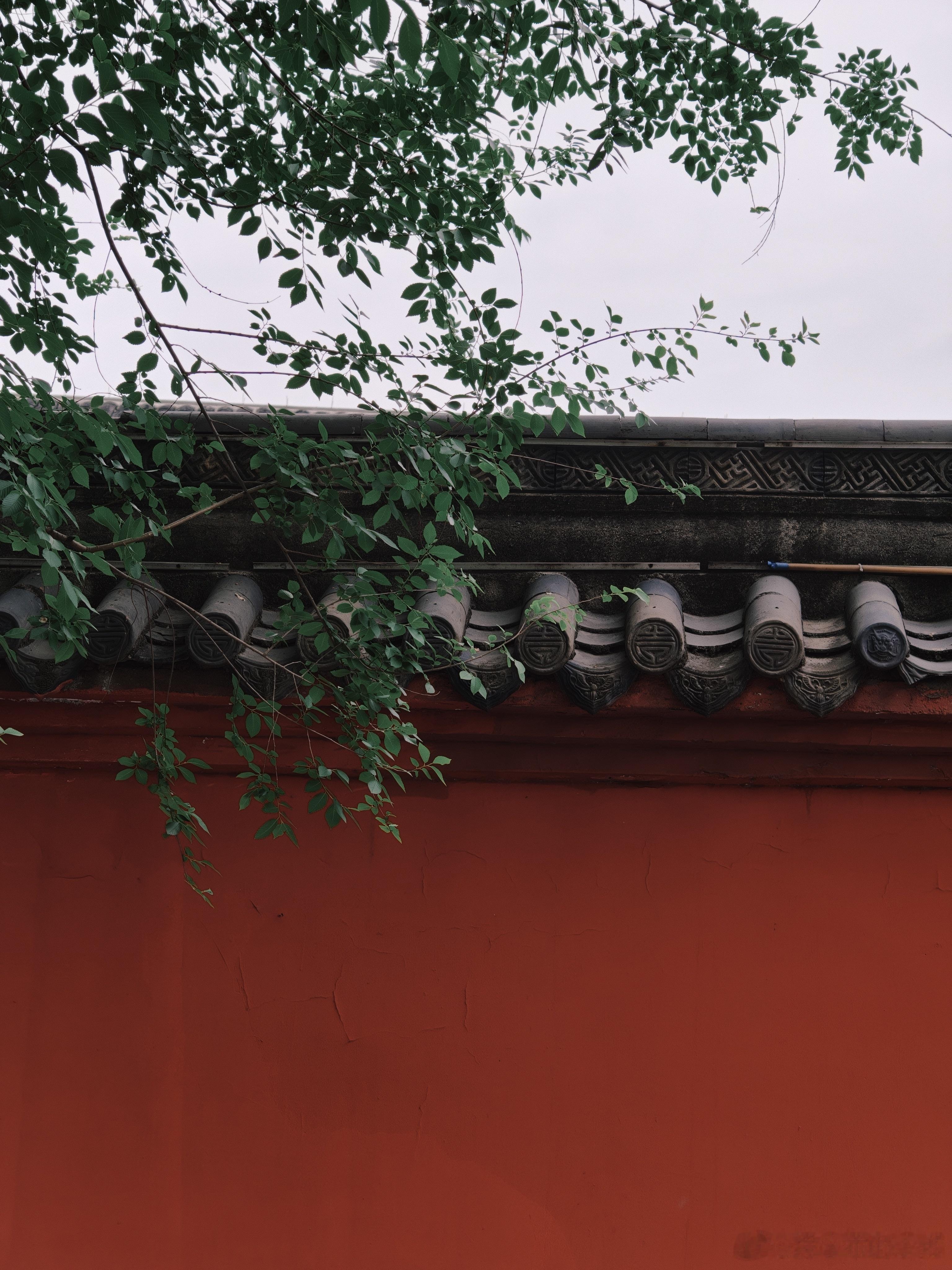 成都不好耍只好吃(๑´ڡ`๑) 