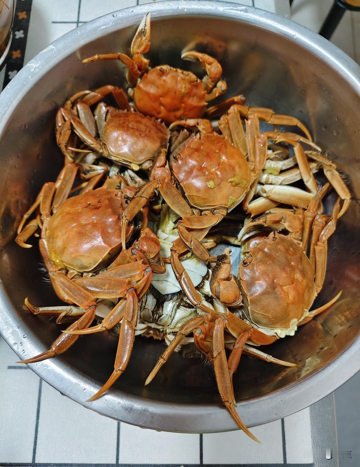 晒图笔记大赛金秋吃蟹正当时，一锅蒸大闸蟹，鲜到流油！