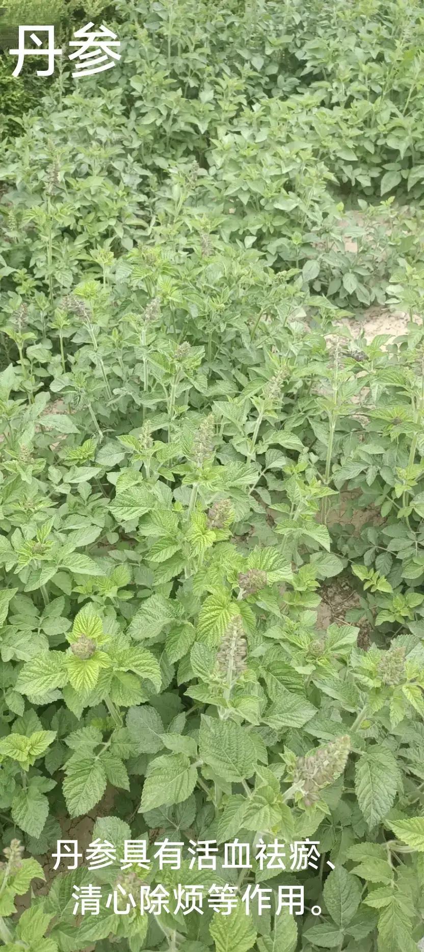 人际关系有利益的需要，但也有情感的需求。
        你和有的人是“话不投机