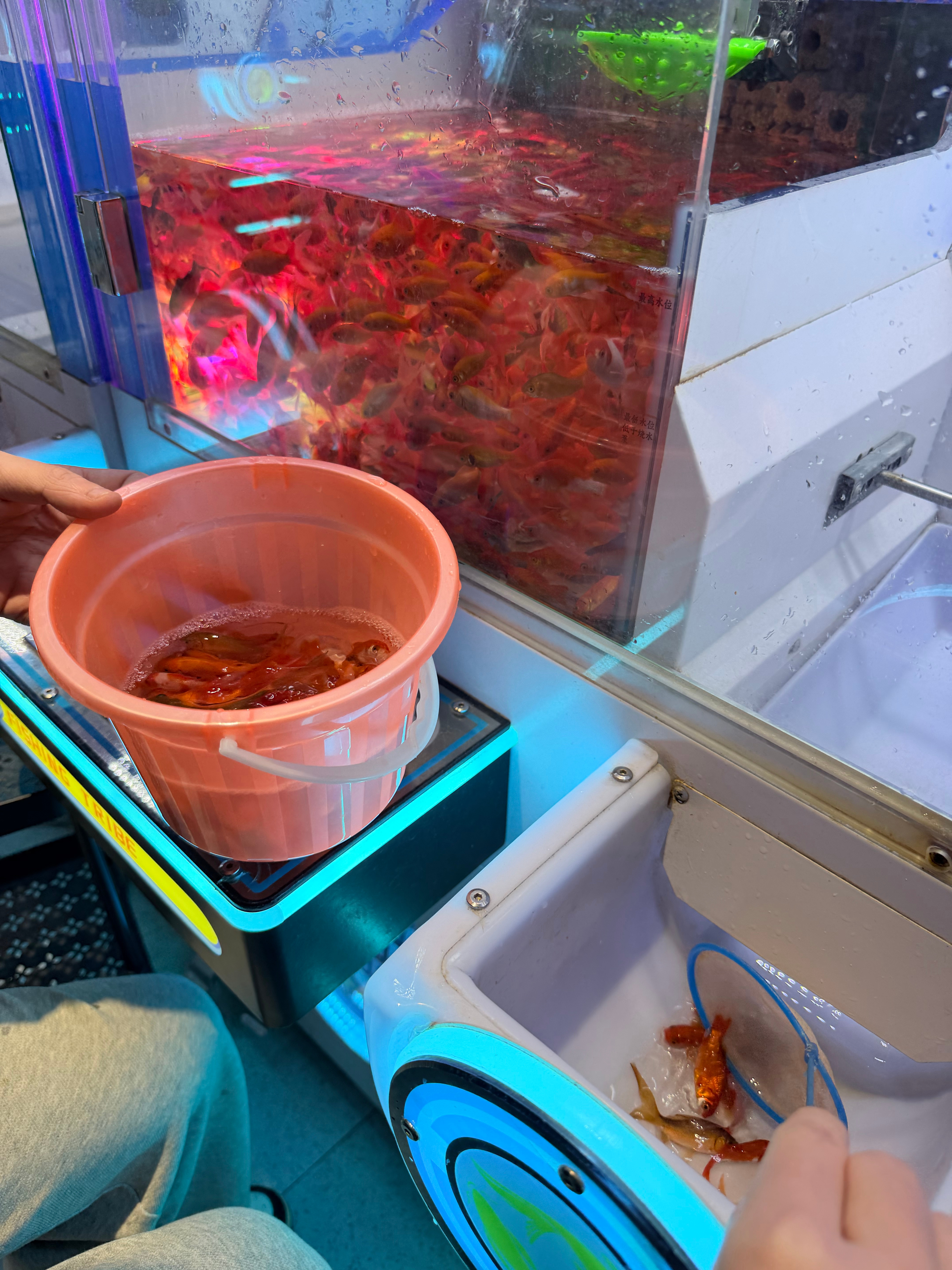 30块钱抓了100多条hh 