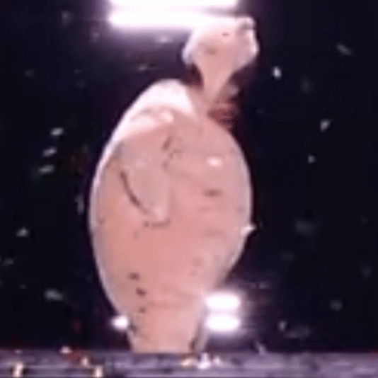  ​​​