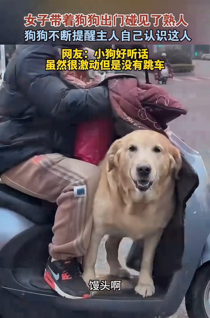 女子带着狗狗出门碰见了熟人，狗狗不断提醒主人自己认识这人。网友：小狗好听话。
3