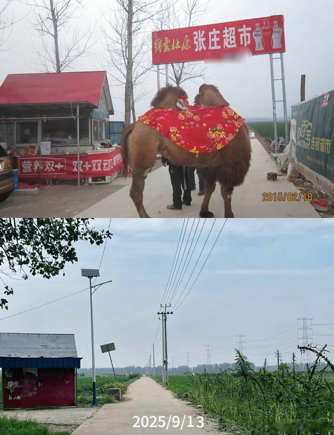 河南乡村十年的变化，这个骆驼存在于多少河南孩子的童年中？ ​​​