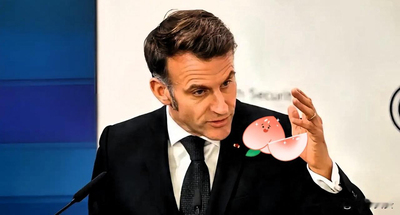 让我们投资，法国喊话东方大国

1月20日，在瑞士达沃斯世界经济论坛上，法国总统