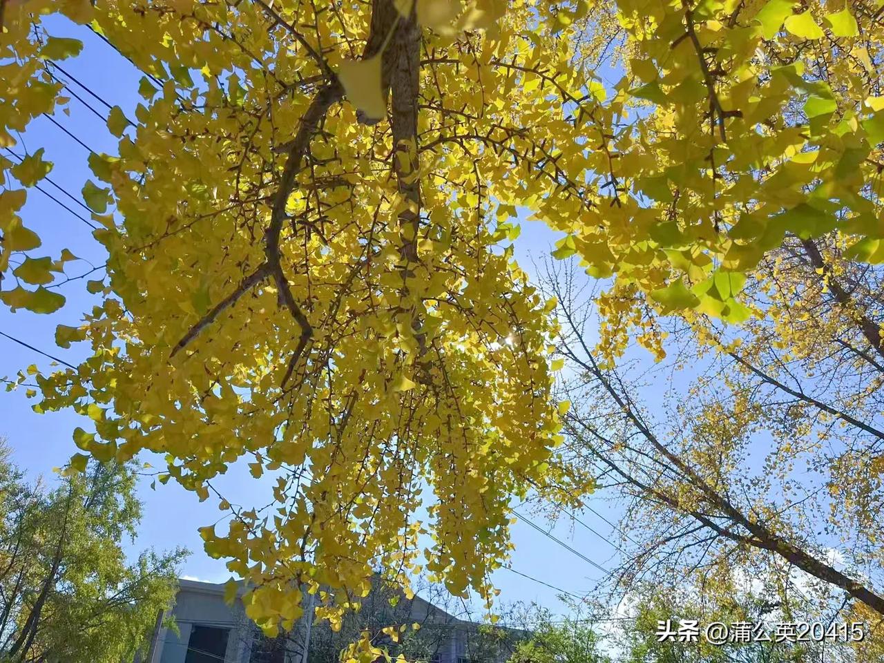 大连旅顺太阳沟，拍照的大妈们，难道你们都不识字吗?可惜了这么美丽的风景。禁止翻越
