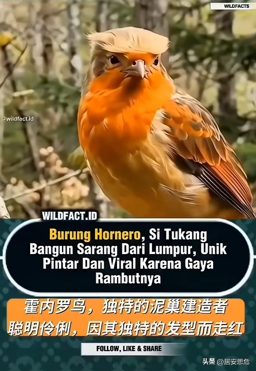 特朗普：都不许笑，严肃点！