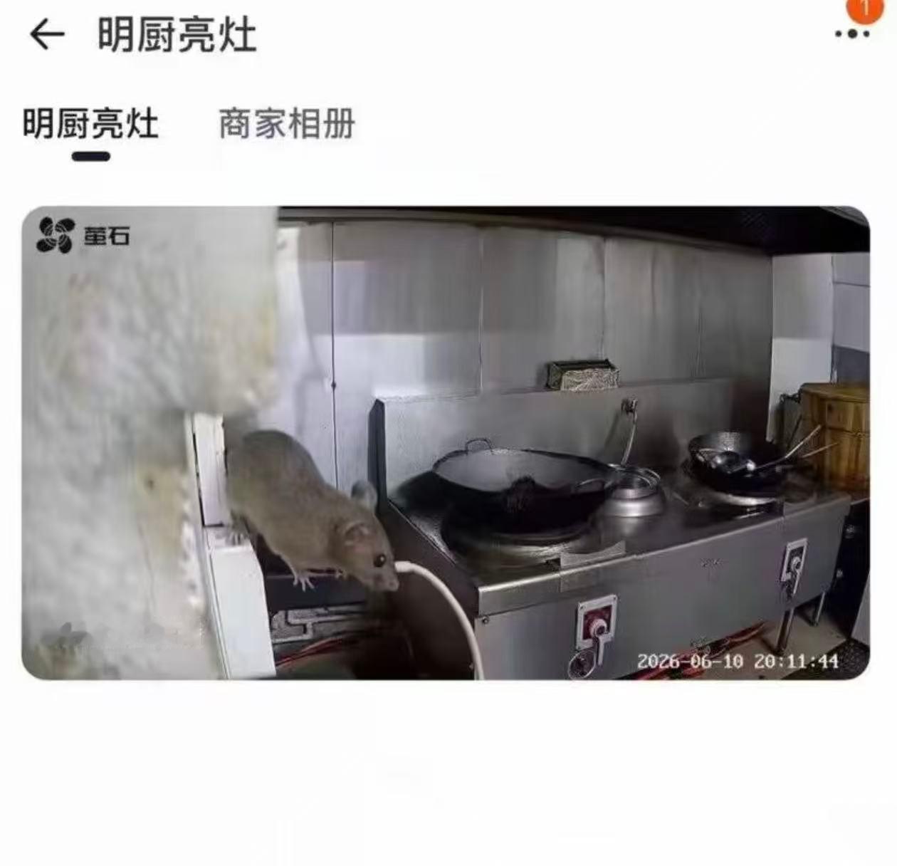 你就说亮没亮灶吧 