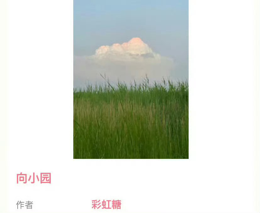 小说推荐：《向小园》 作者:彩虹糖简评：面馆老板娘vs炒菜店老板，熟男熟女，乡村