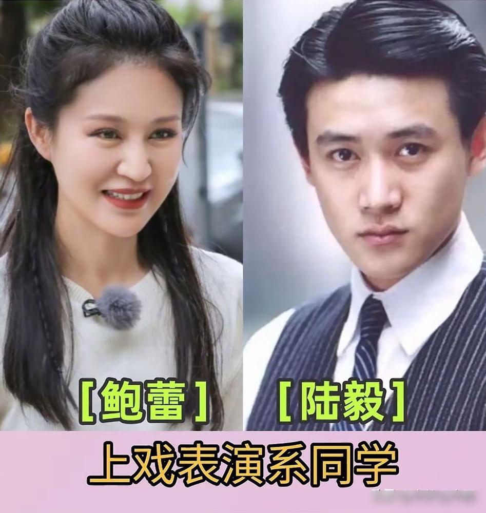 陆毅鲍蕾，夏雨袁泉，从校服到婚纱。
听起来很美。
媒体喜欢把这几对拎出来，当作娱