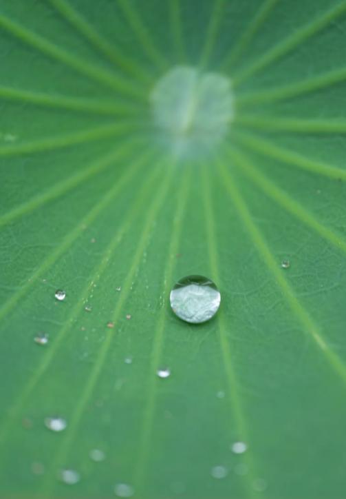 结婚数据出炉，年轻人咋想的
亲爱的朋友们大家好，我是海林小百科，今天我们来看看。