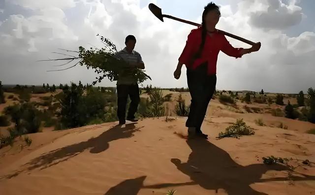 从沙漠弃妇到联合国嘉宾：19岁被父“报恩”远嫁，她用30年绿染荒漠
 
1985