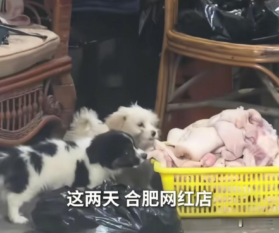 合肥七万卤菜那个事，说实话，真让我感觉一些人有受虐倾向，不光给人家送钱，还让别人
