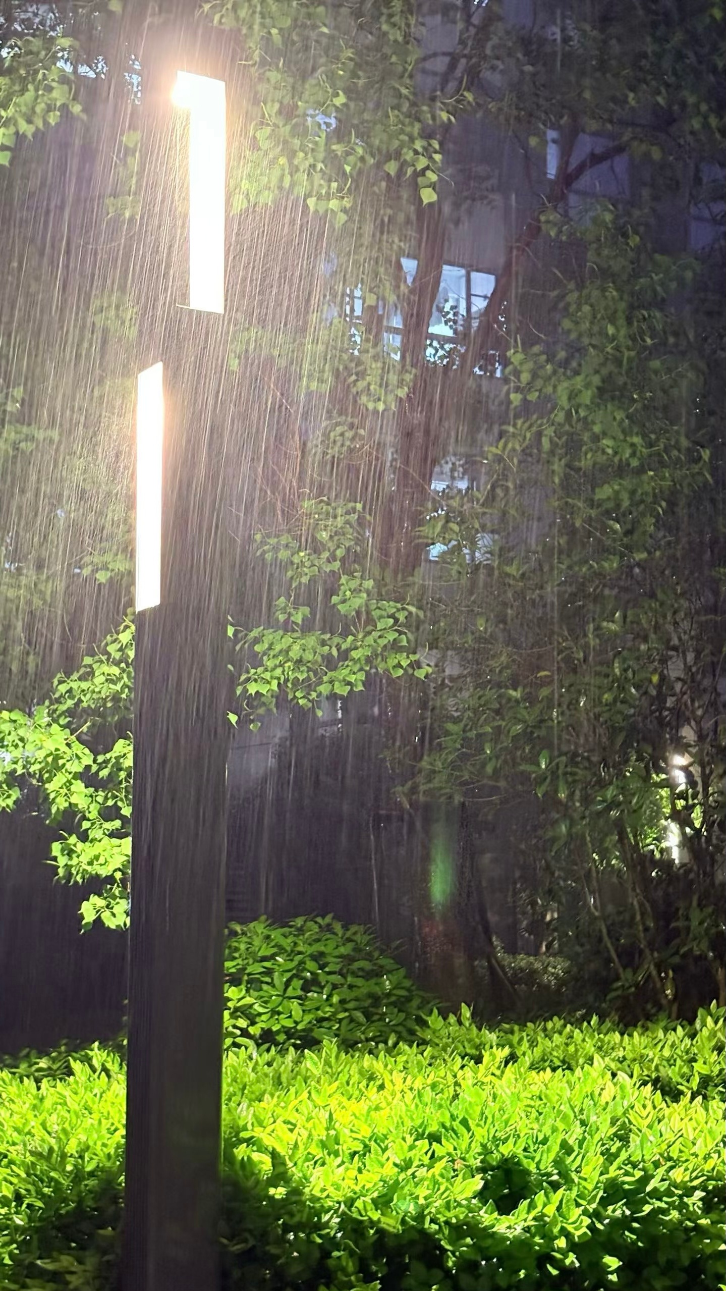 ♪│惬意的雨天氛围感！ 
