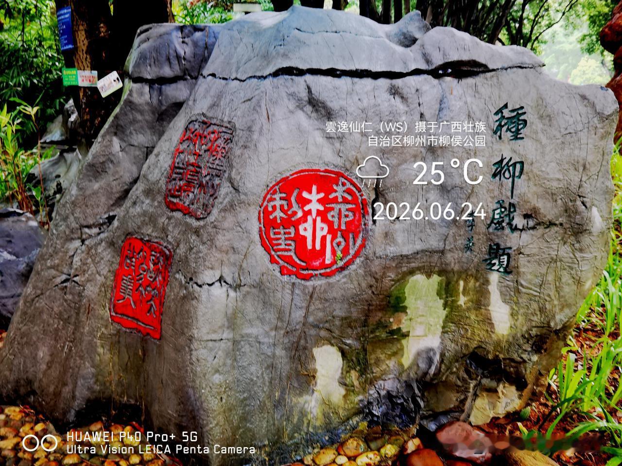 月居生活记录（10225）广西壮族自治区柳州市（263）：种柳戏题、篆刻艺术复刻