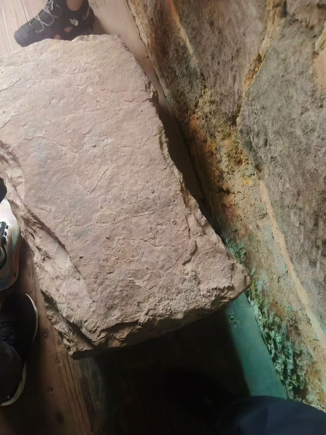 哈哈哈杨紫果然下墓了杨紫南越王赵眜博物馆南越王墓指的是西汉诸侯国南越国第二任主，