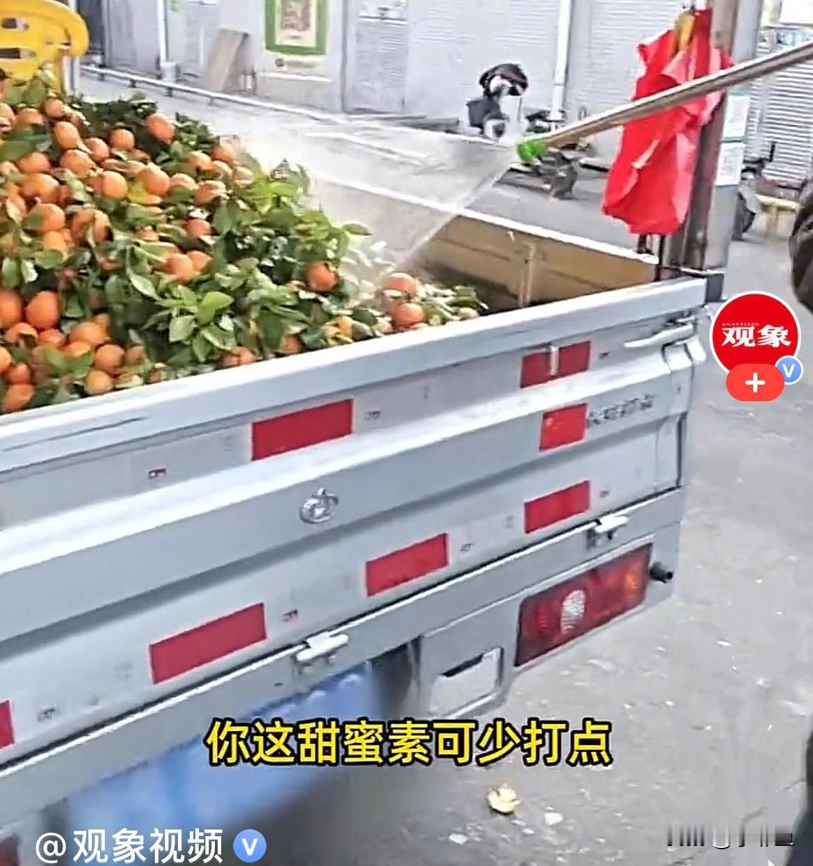 近日，广东街头，一卖沙糖桔的车子停在路边，一男子正在往车上的沙糖桔喷洒一种白色的