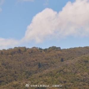 晚安心语 • 睡觉啦，有事托梦跟我说。• 刘学义晚安，梦里啥都有，包括我。• 我