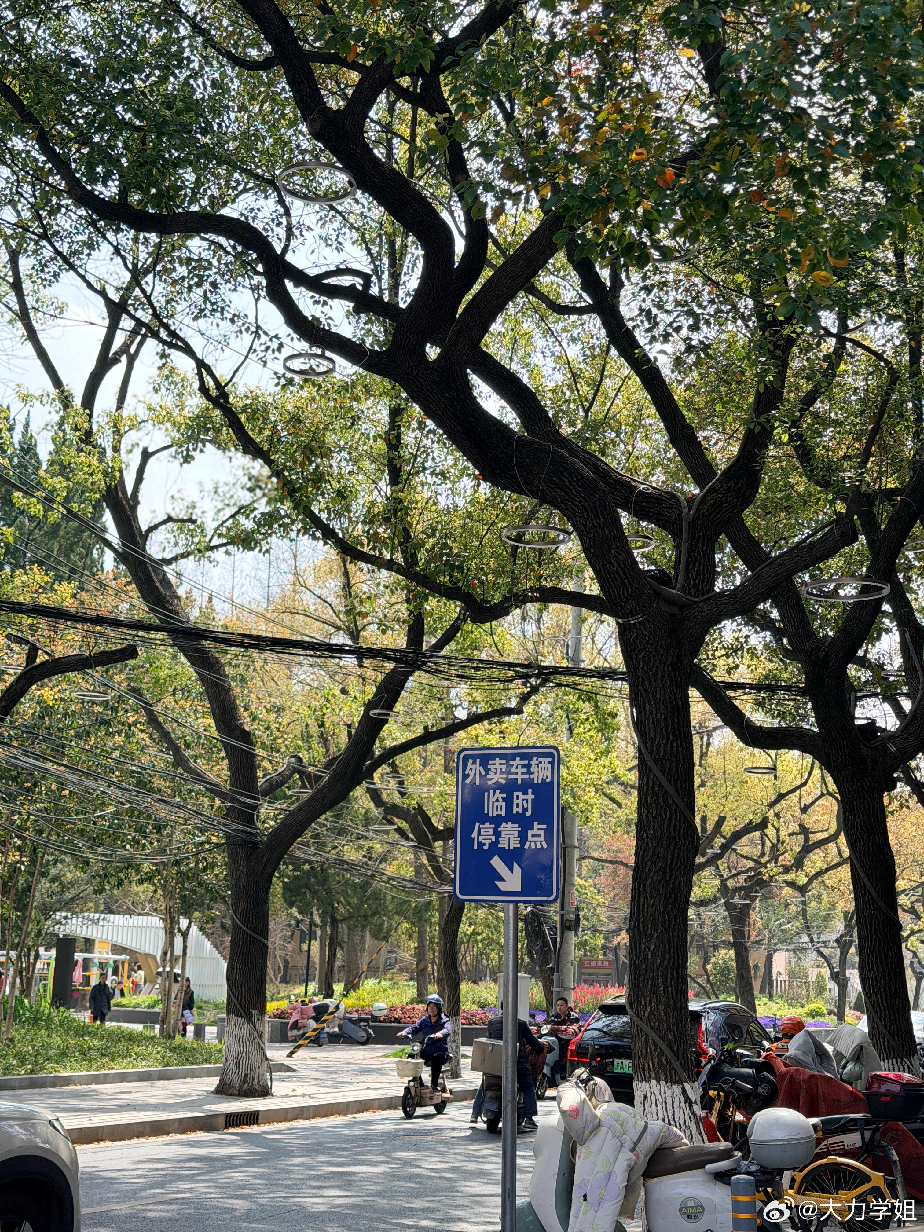 上海这个季节气候可真舒服~排期太满了都来不及去北外滩看看