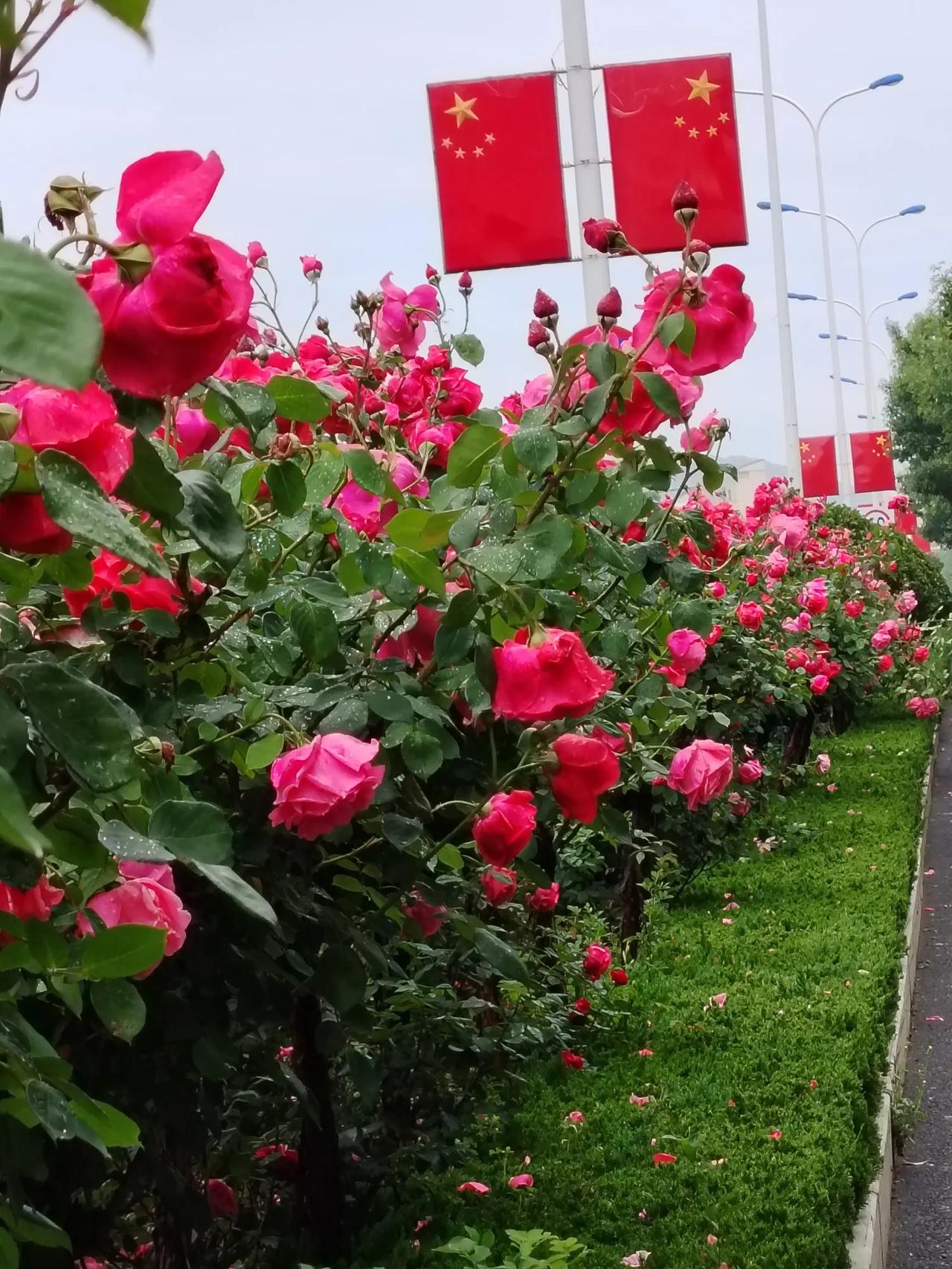 今生首次跟着孙子跨进大学校门[大笑][大笑][大笑]