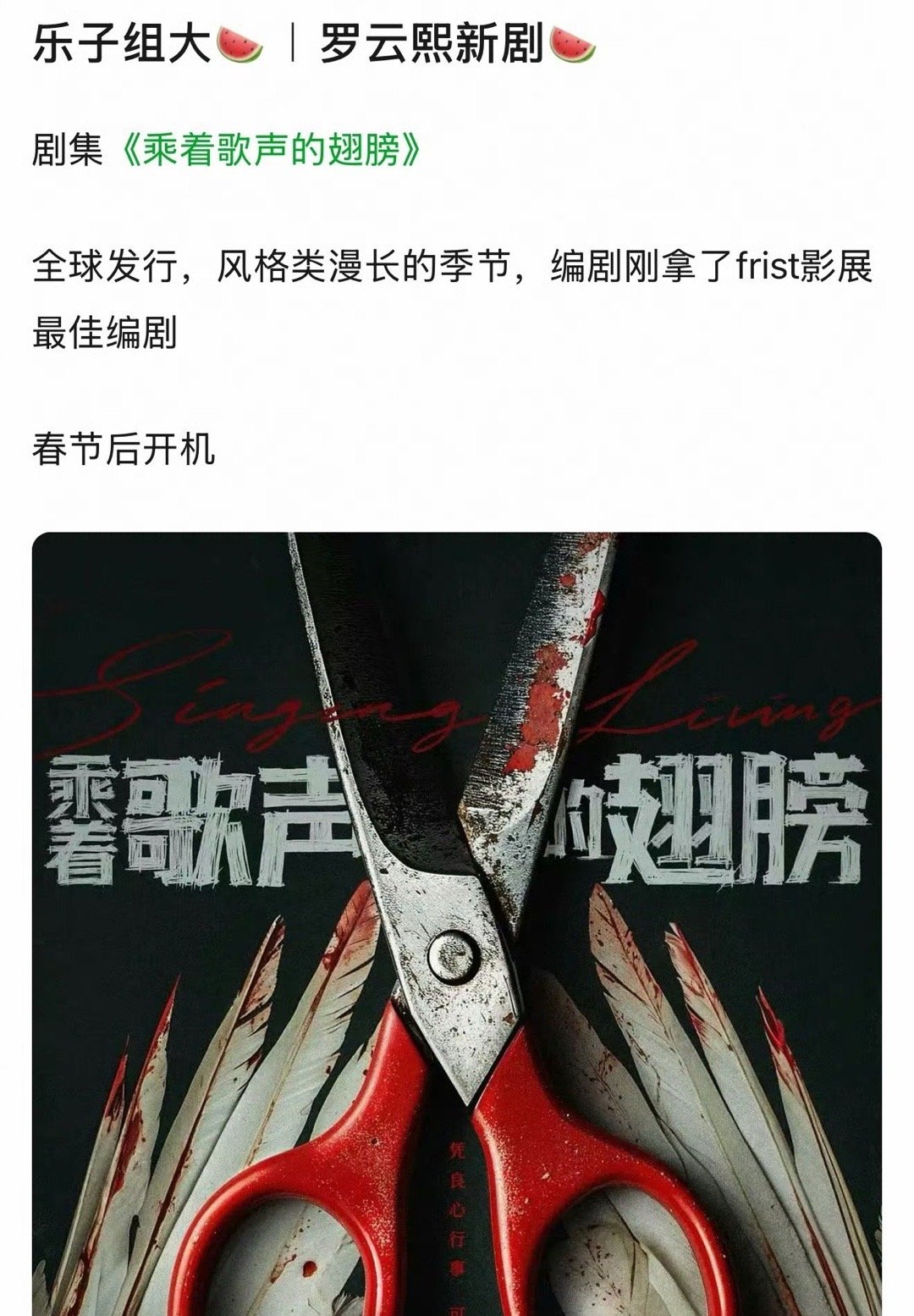 🍉罗云熙即将进组悬疑大剧《乘着歌声的翅膀》 粉丝可以期待下