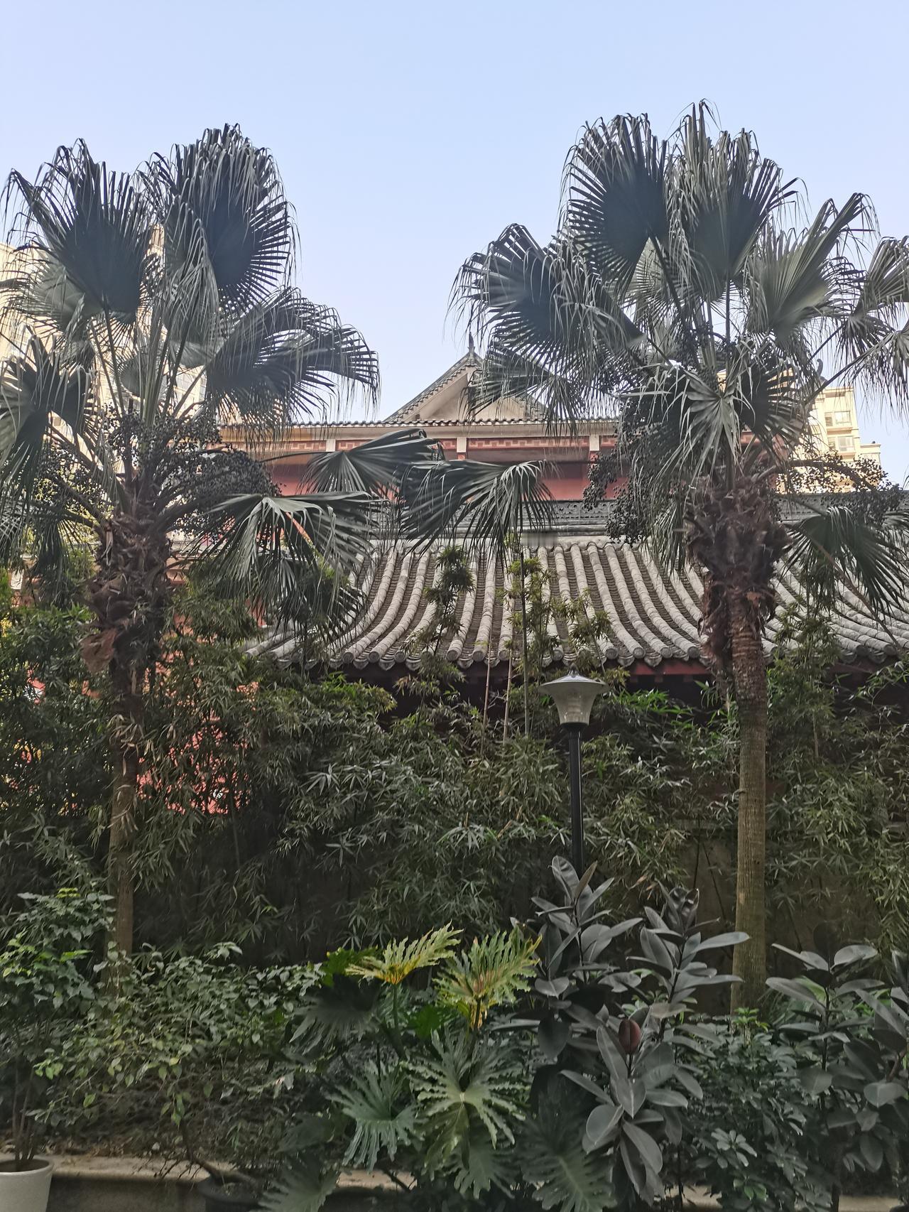 探索成都宝藏地方，中和的一个禅寺！
小众 寺院