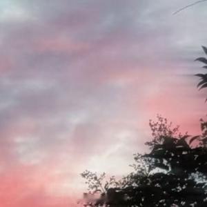 人生感悟 很多时候，单凭勇气，就已经足够成事只要你敢于向前一步，世界就会向你倾斜