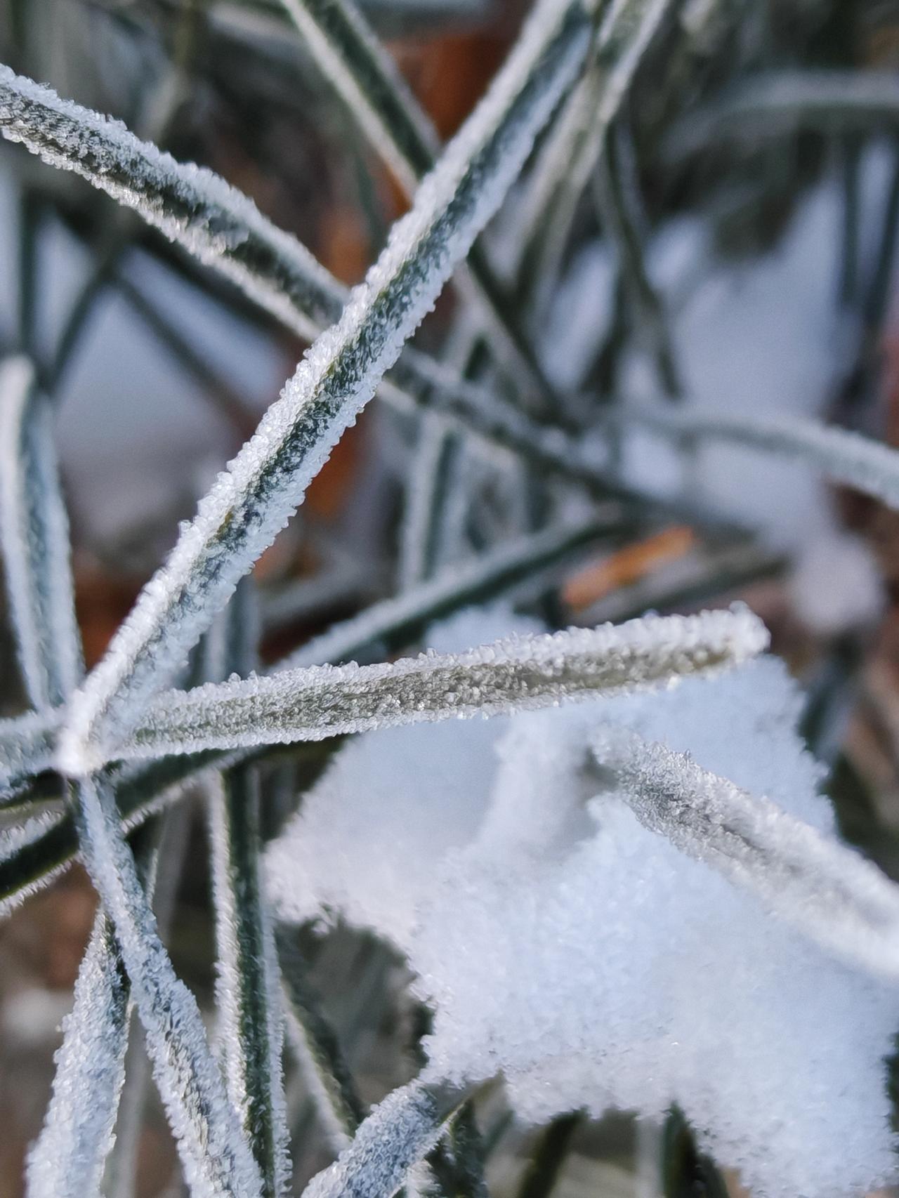 与痛风斗争的历程86
 
   晨起天晴，全身关节并无不适，唯有膝关节与肘关节略