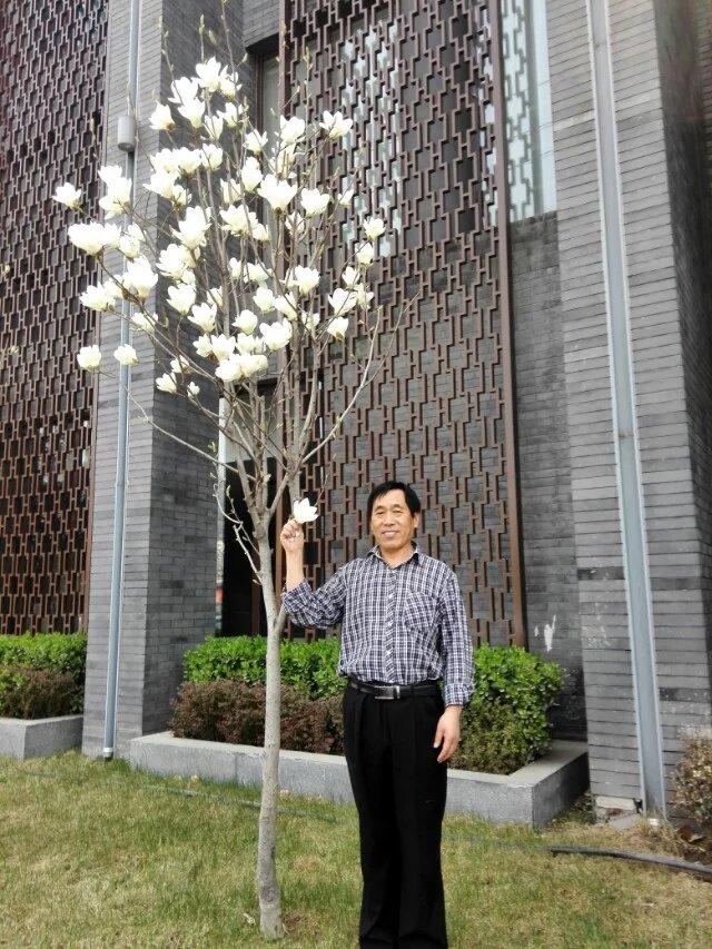 朕到伊苑拜读佳作欣赏悦目受益