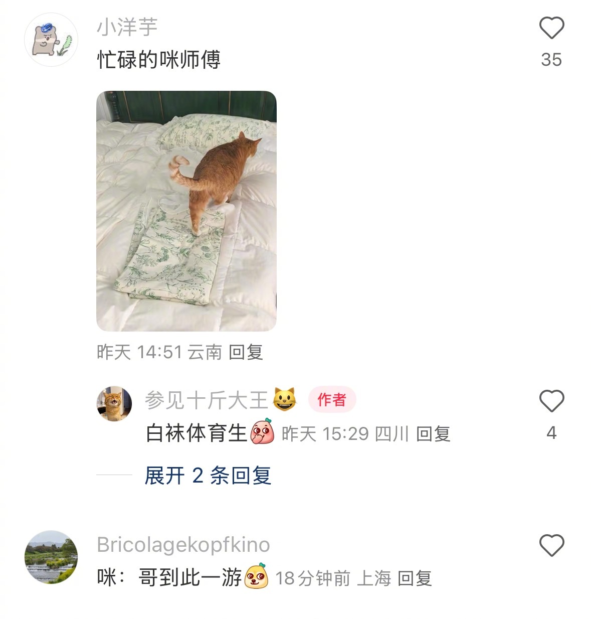 换床单最大受益者是咪师傅 