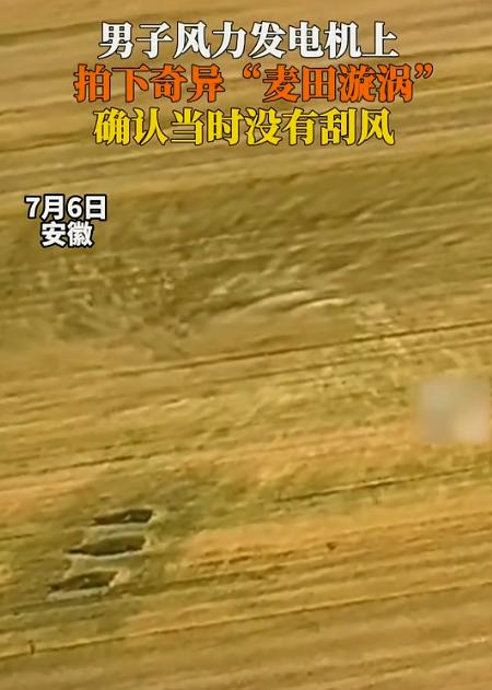 “彻底解释不清了！”安徽，男子在风力发电机上工作，突然发现下方麦田里，竟然出现了