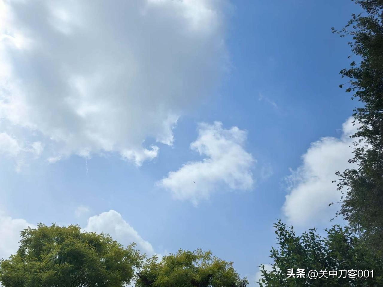 锚定“十五五”时代大势，赋能大国崛起🇨🇳
深挖千年文脉底蕴，推动文物活化与创