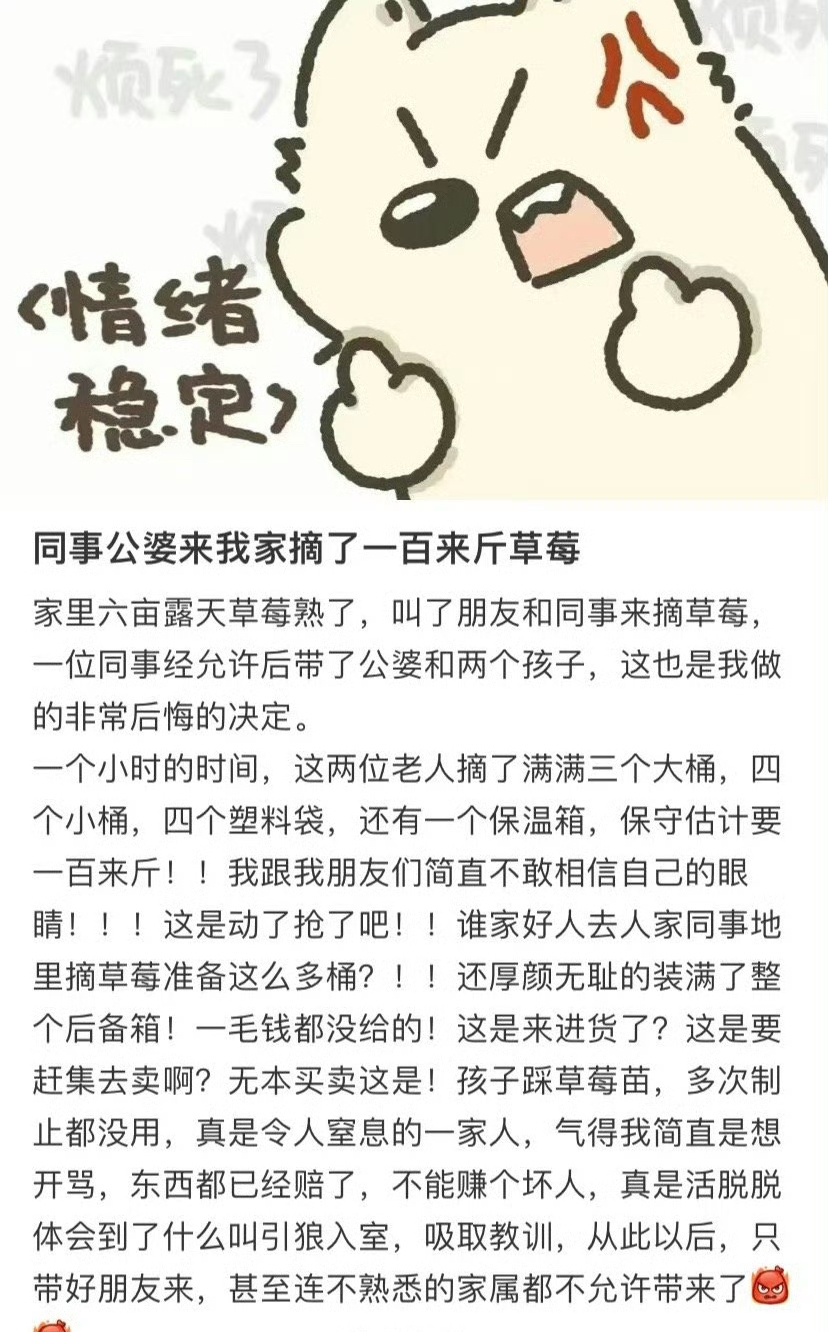 同事公婆来我家摘了100多斤草莓… ​[衰] ​​​