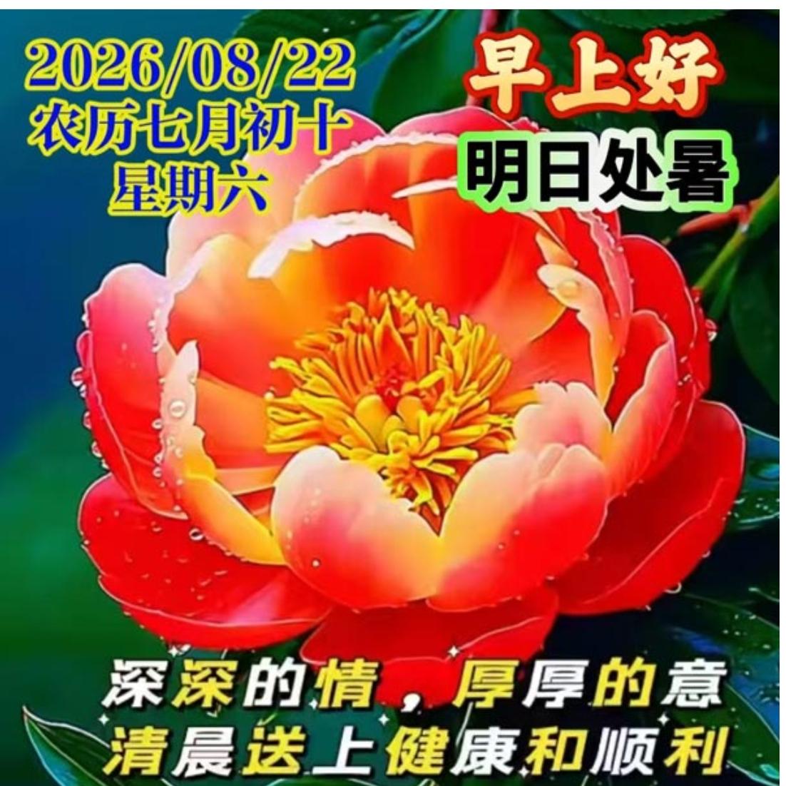 朝阳升起迎周末，
美好一天又来临；
秋晨祝福万事顺，
健康平安每一天；
隔屏问候