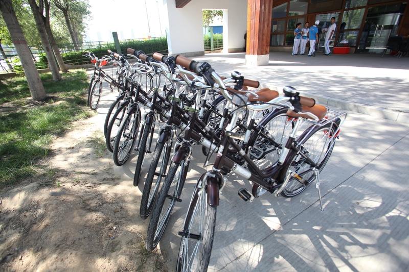 我的第一辆自行车是永久牌。在过去，自行车可是家庭财富的象征，像“永久、凤凰、飞鸽