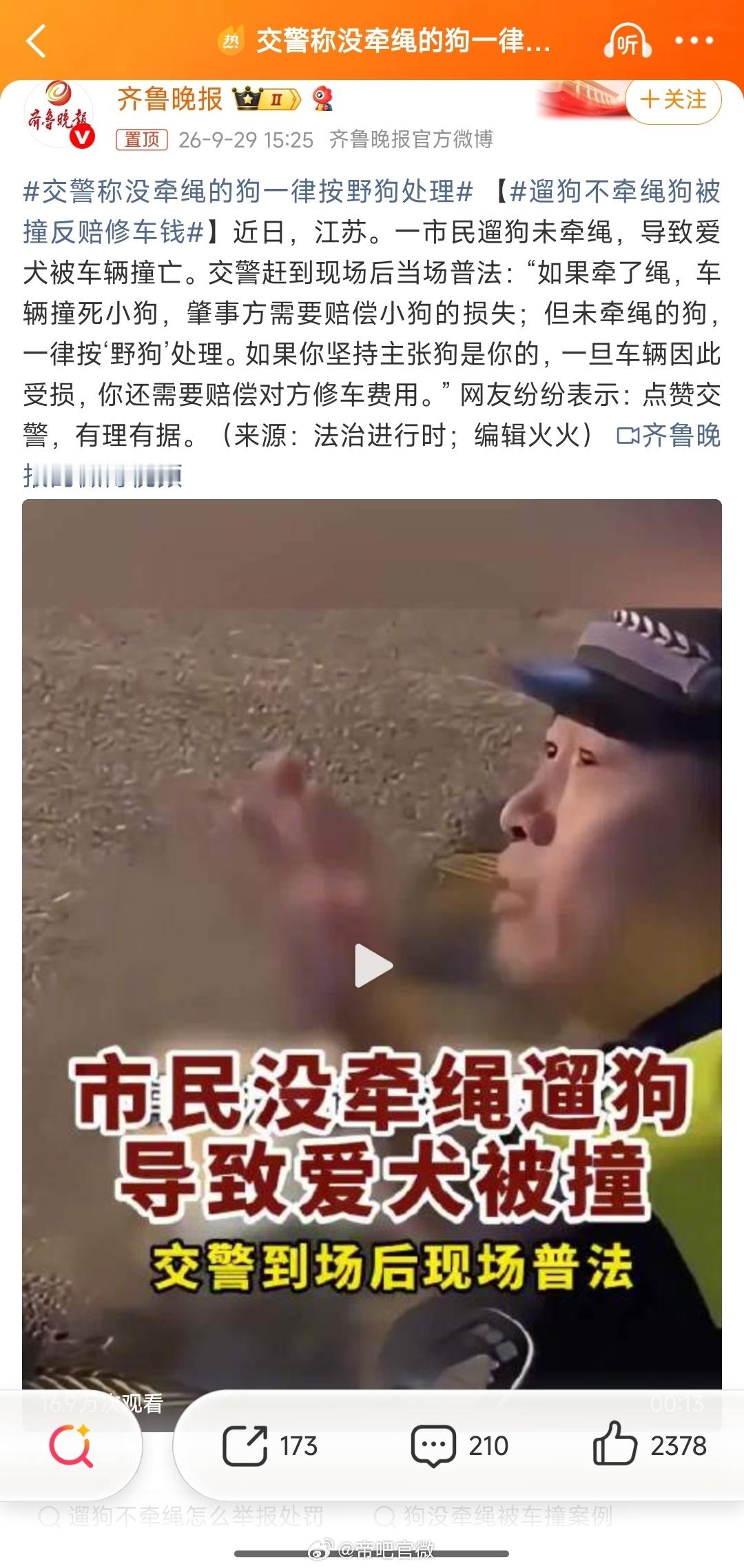交警称没牵绳的狗一律按野狗处理 人民的好交警[good]没栓绳的狗，本质上就是野