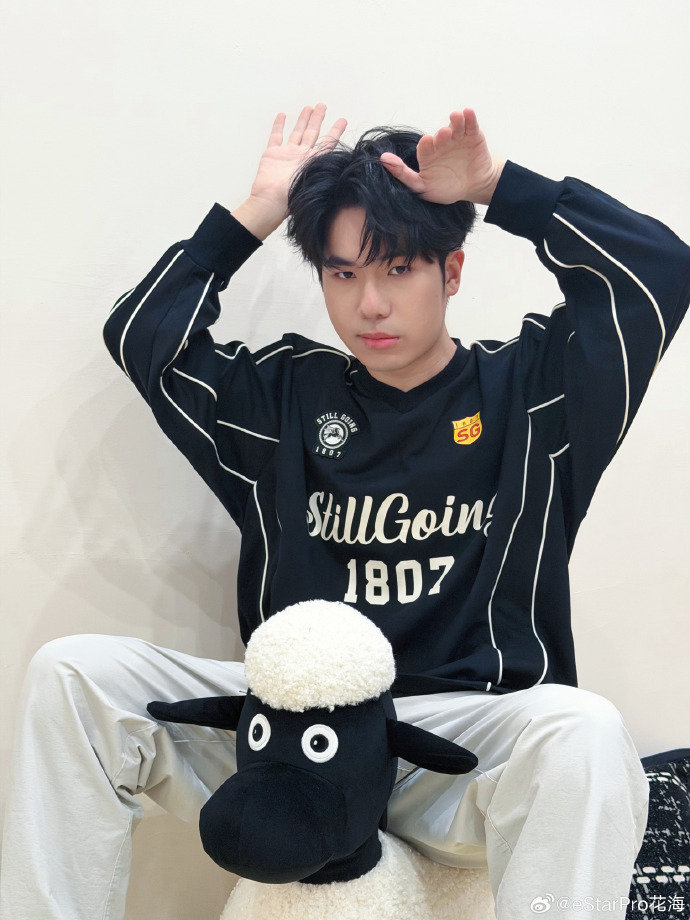 花海小狗耳朵还是螺旋桨起飞花海小狗耳朵 花海小狗耳朵还是螺旋桨起飞 