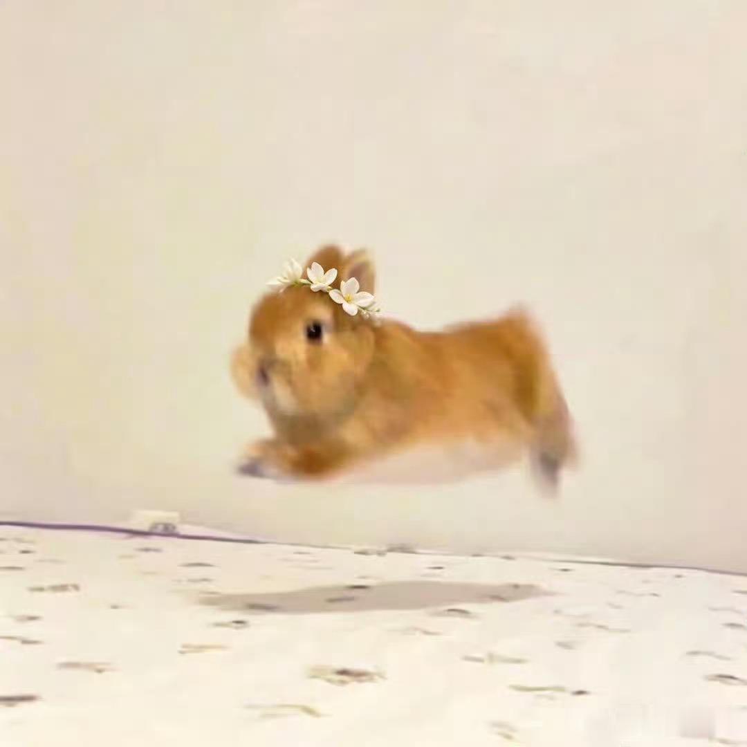 显化
