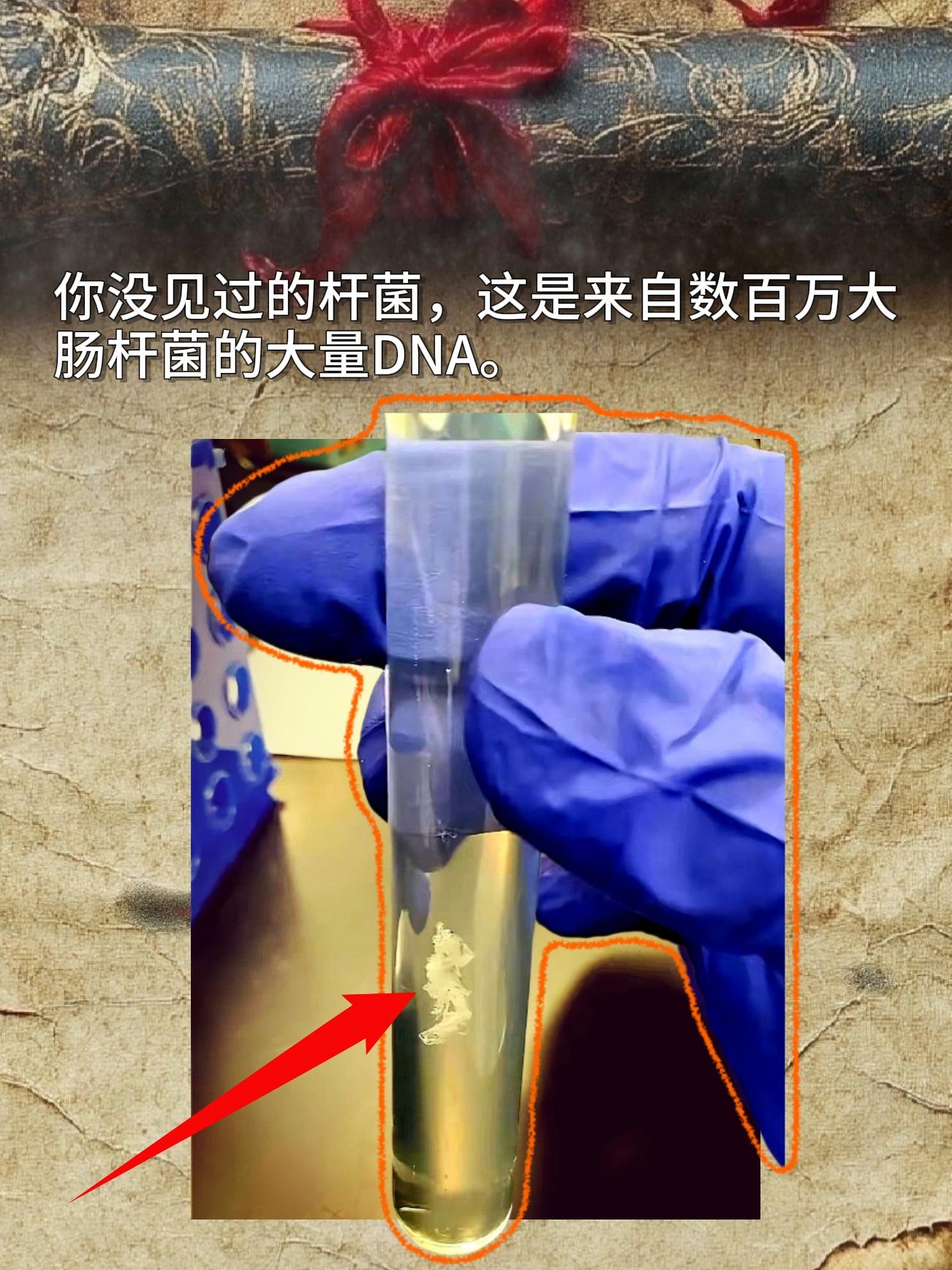 你没见过的杆菌，这是来自数百万大肠杆菌的大量DNA。