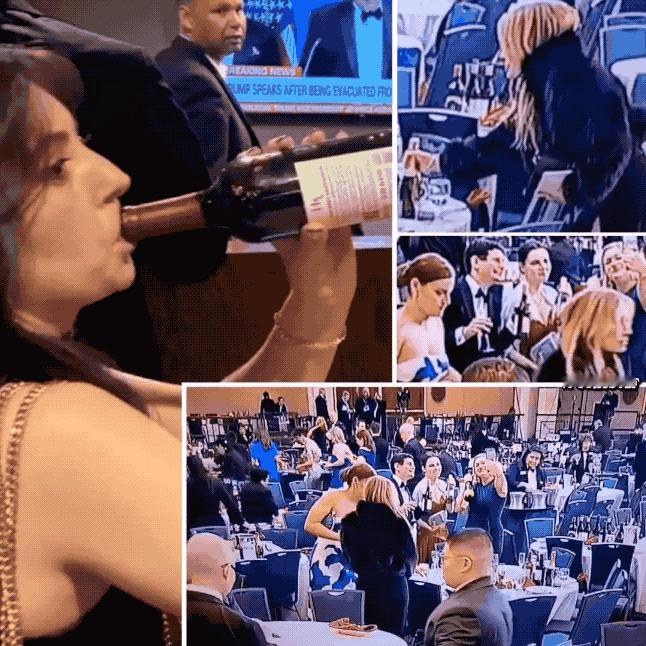 美国记者在总统宴会偷酒喝：西方媒体照样很垃圾，张雪峰对新闻学判断的价值在持续升高