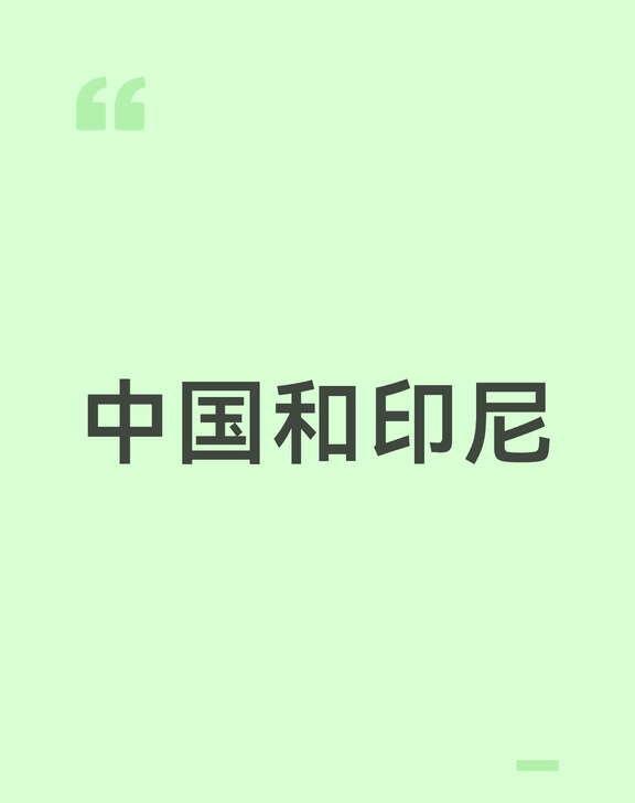 中国连续13年成印尼最大贸易伙伴
中国连续13年成印尼最大贸易伙伴，这件事不只是