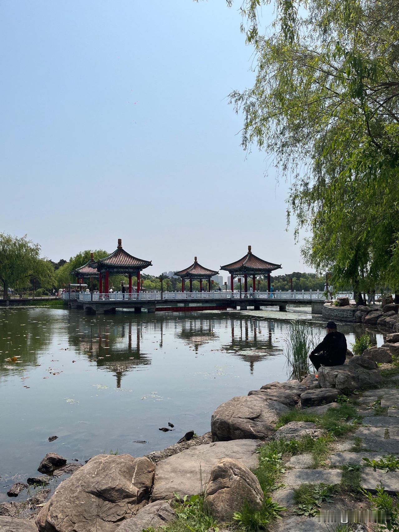 清晨，漫步于武汉江夏区藏龙岛谭湖路，湖光之美令人心醉神迷。阳光如丝缕般轻柔地倾洒