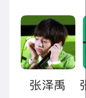 张泽禹  这是谁家小宝宝张泽禹 野火系歌手