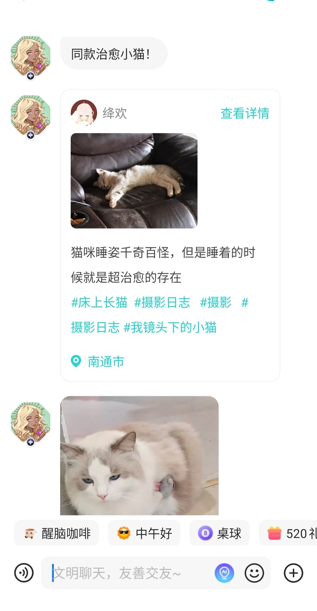 小小的人类，对猫生有着大大的疑惑🤔