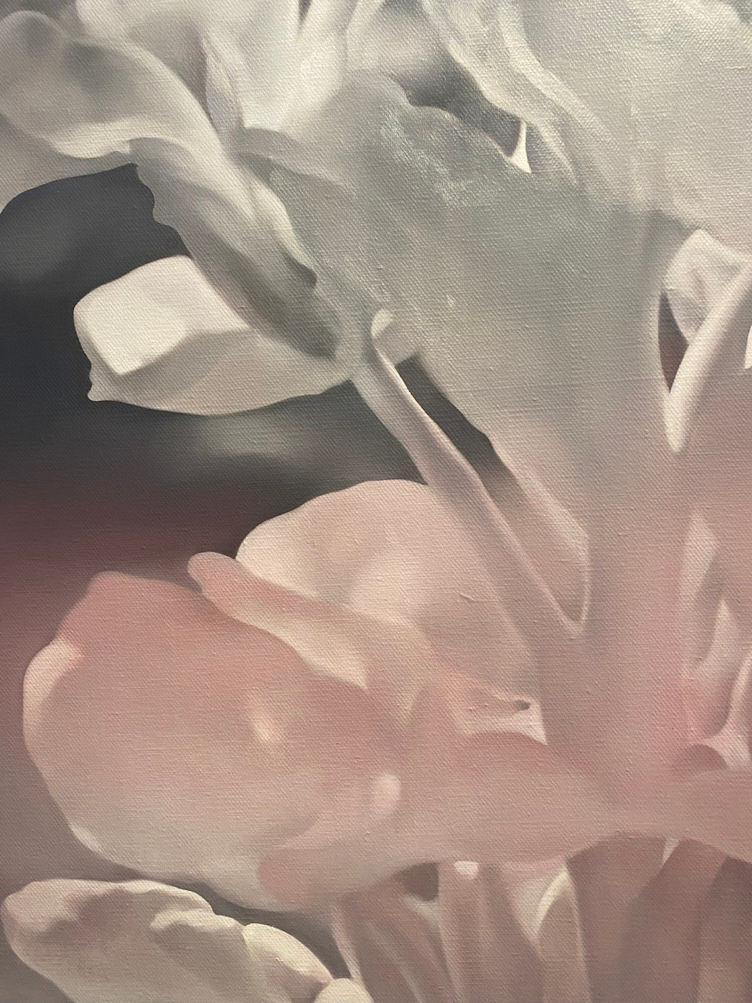 趁雨停的间隙出来看个展，透透气。今日乱逛 上海·Studio Gallery工作